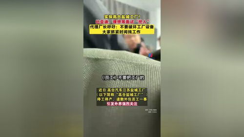 高合盐城工厂直击 比亚迪理想现场“挖人”，代理厂长称丁磊仍在上海寻求出路