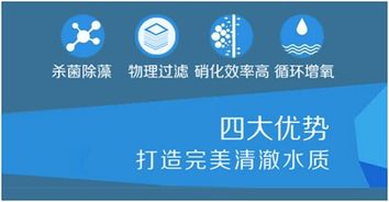 锦池鱼池过滤器 工厂直营、代理加盟与专业设计服务一体化解决方案